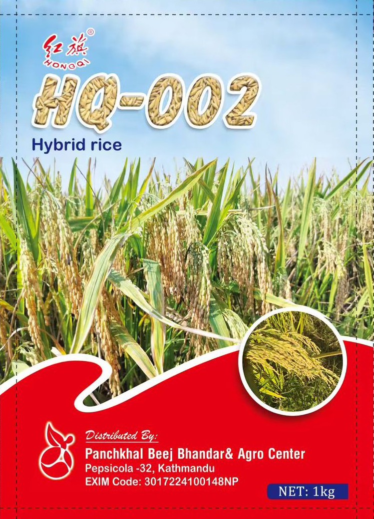 HQ-002 Hybrid Rice Seeds
